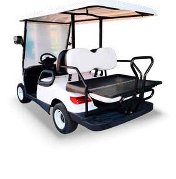 Golf-C 2+2 Seats 3