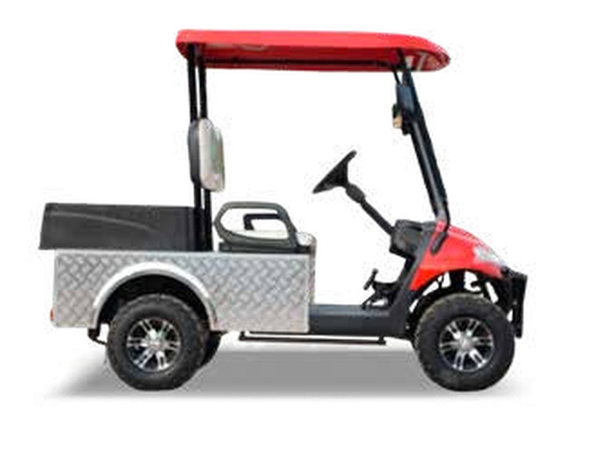 Golf-C 2 Seats Off-Road + Trunk 2