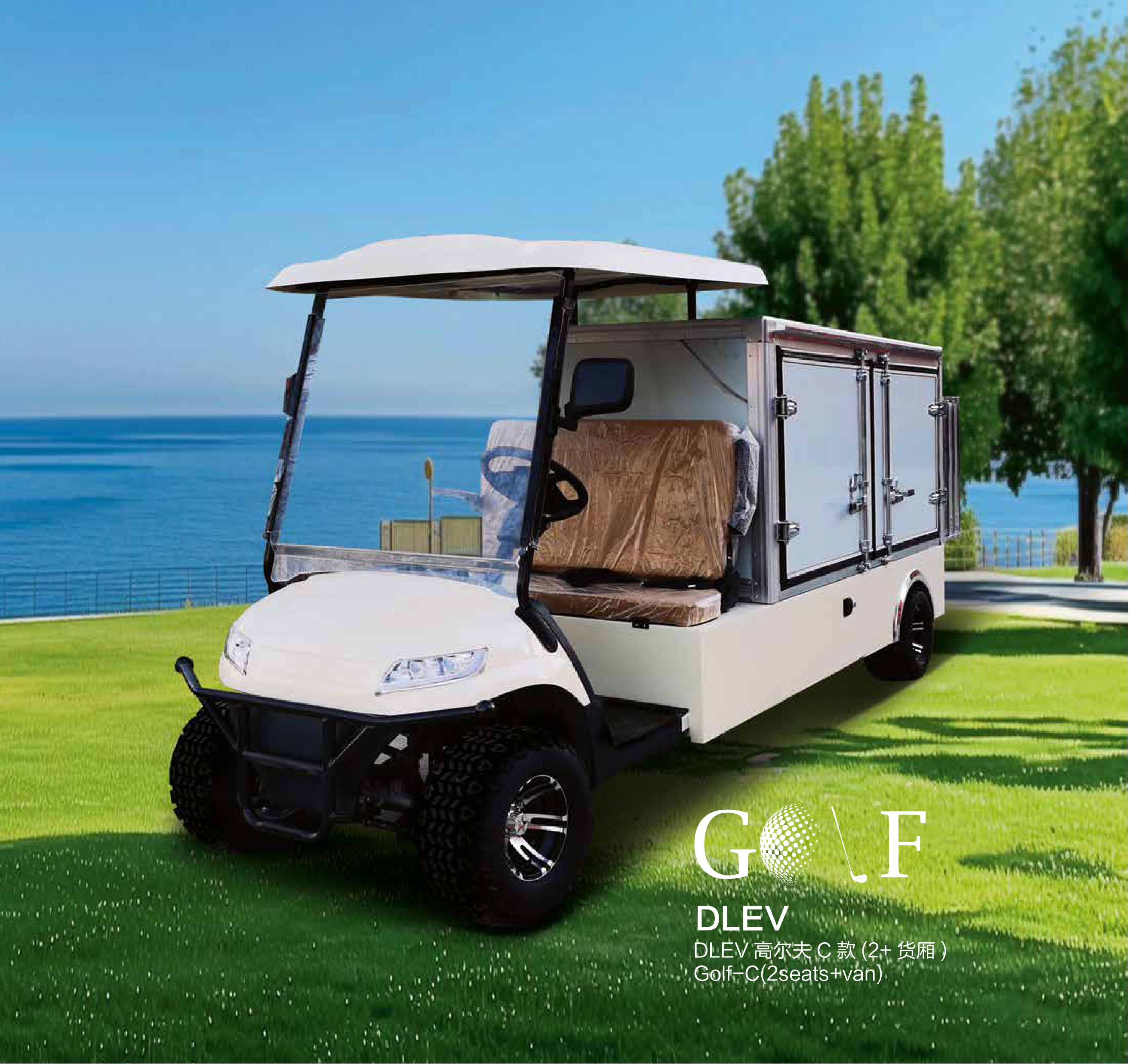 Golf-C 2 Seats Van