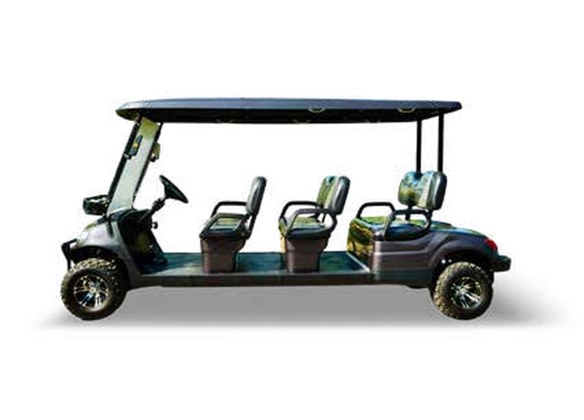 Golf-C 6 Seats Off-Road 3