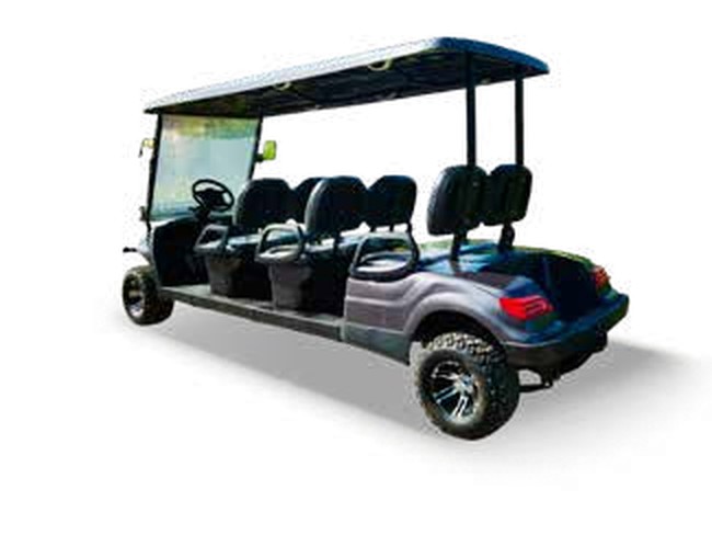 Golf-C 6 Seats Off-Road 4