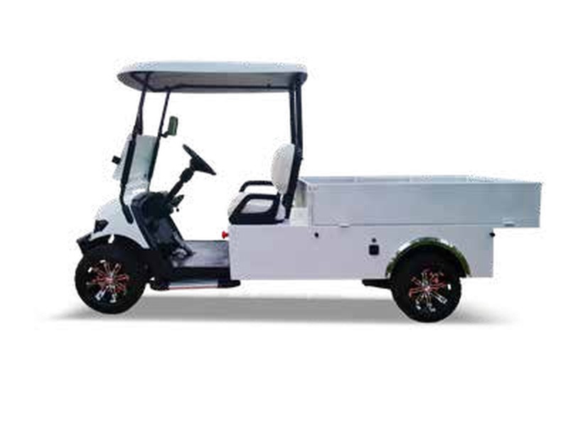 Golf-E 2 Seats + Cargo Hold 2