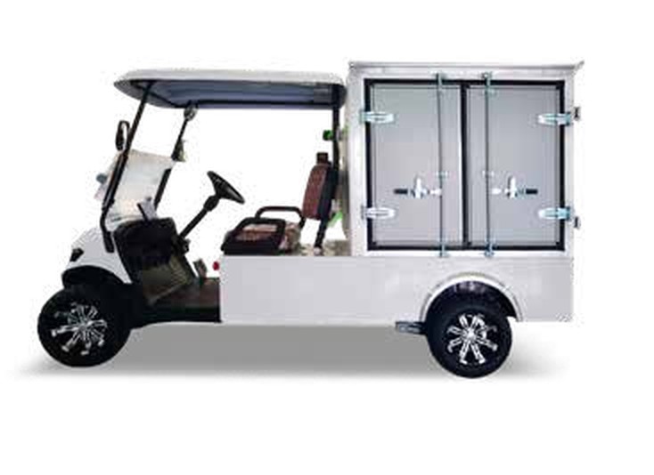 Golf-E 2 Seats Van 3