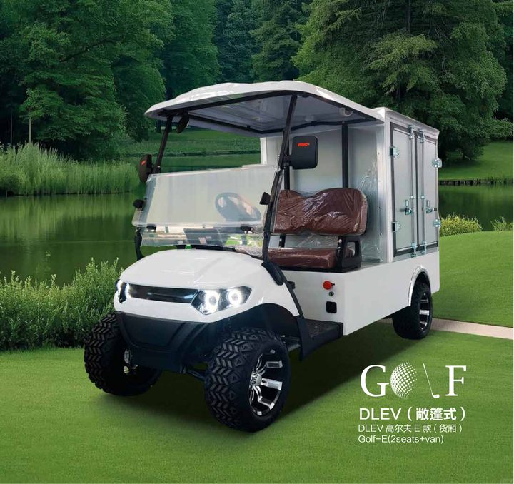Golf-E 2 Seats Van