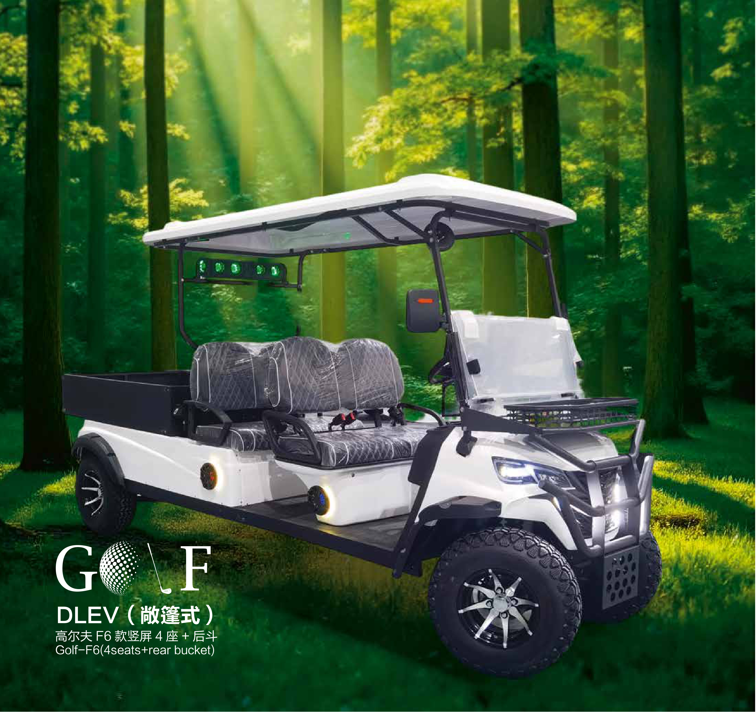 Golf-F6 4 Seats + Rear Bucket