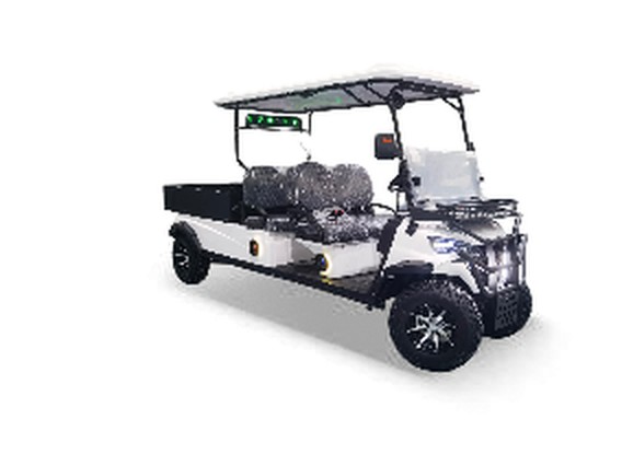 Golf-F6 4 Seats + Rear Bucket 3